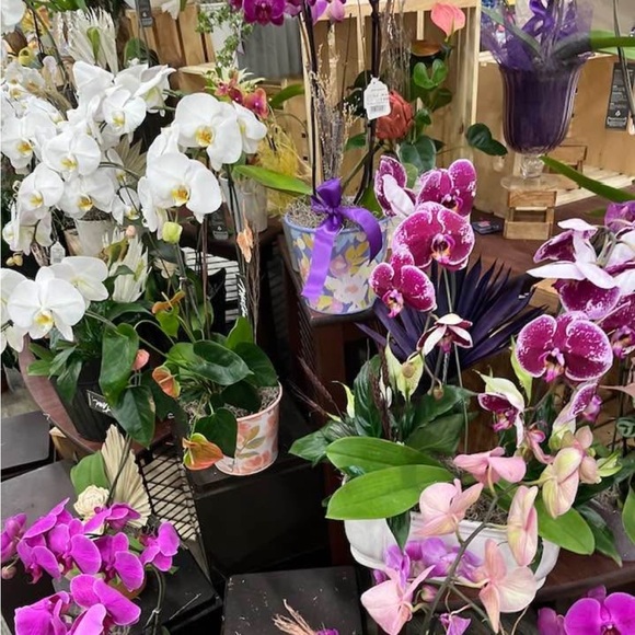 # 10 Lululemon  Hoodie - Picture 4 of 4